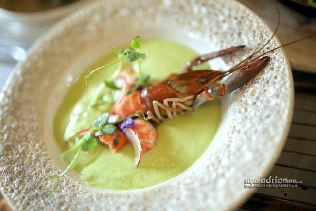 Chilled Avocado and Ginger Soup with Poached Yabbies (S$20)